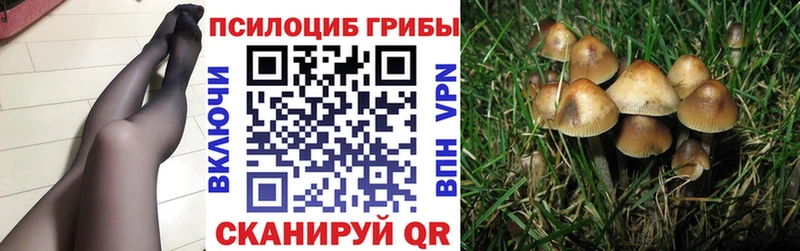 Псилоцибиновые грибы прущие грибы  Кунгур 