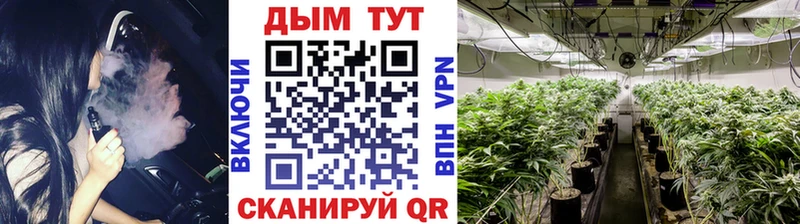 Марихуана гибрид  Кунгур 